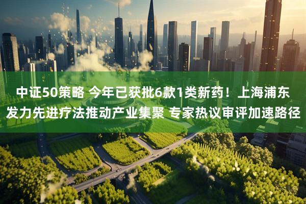 中证50策略 今年已获批6款1类新药！上海浦东发力先进疗法推动产业集聚 专家热议审评加速路径