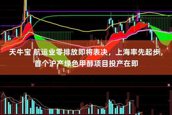 天牛宝 航运业零排放即将表决，上海率先起步，首个沪产绿色甲醇项目投产在即