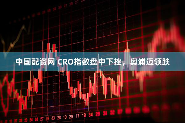 中国配资网 CRO指数盘中下挫，奥浦迈领跌