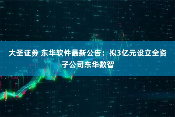 大圣证券 东华软件最新公告：拟3亿元设立全资子公司东华数智